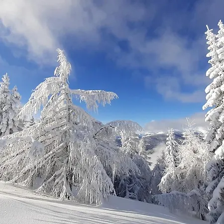 Verdino شقة باد كلينكيرشهايم