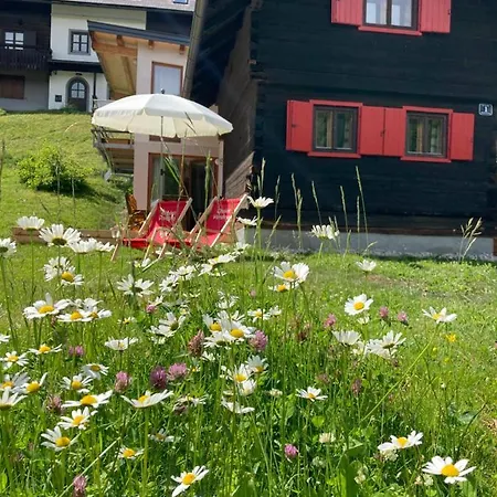 Apartament Verdino *