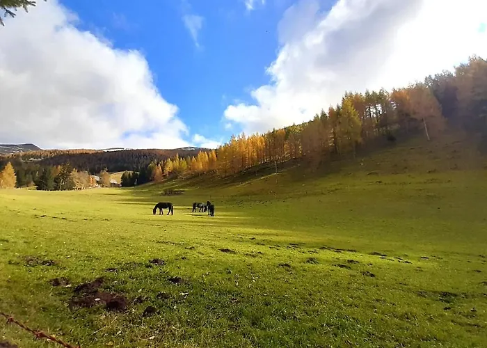 アパート Verdino