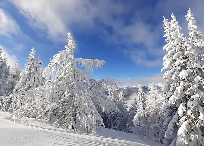 Verdino アパート バド クラインキルヒハイム